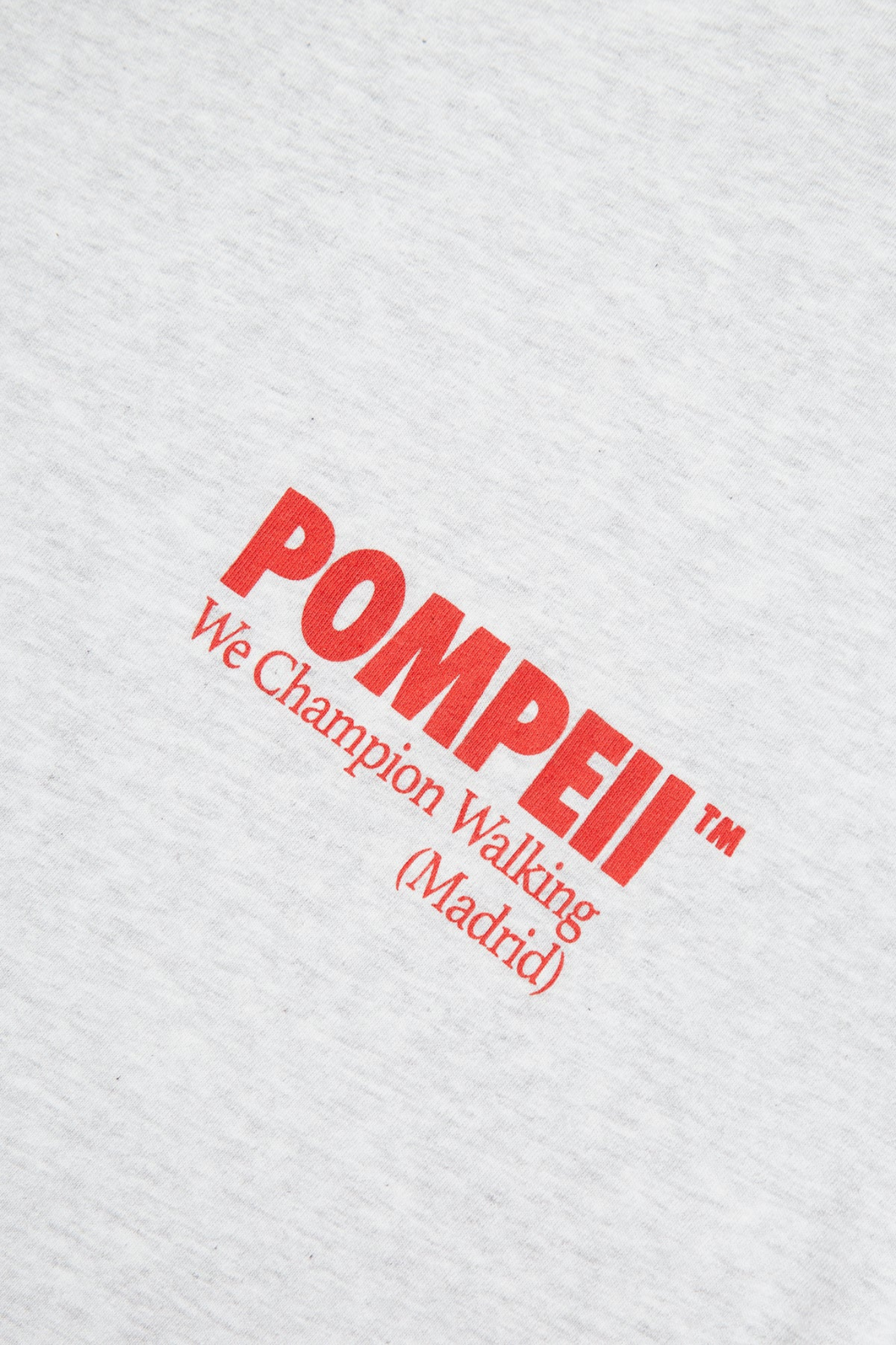 Pompeii Brand classic boxy t-shirt in grey and logo in red. Close logo view