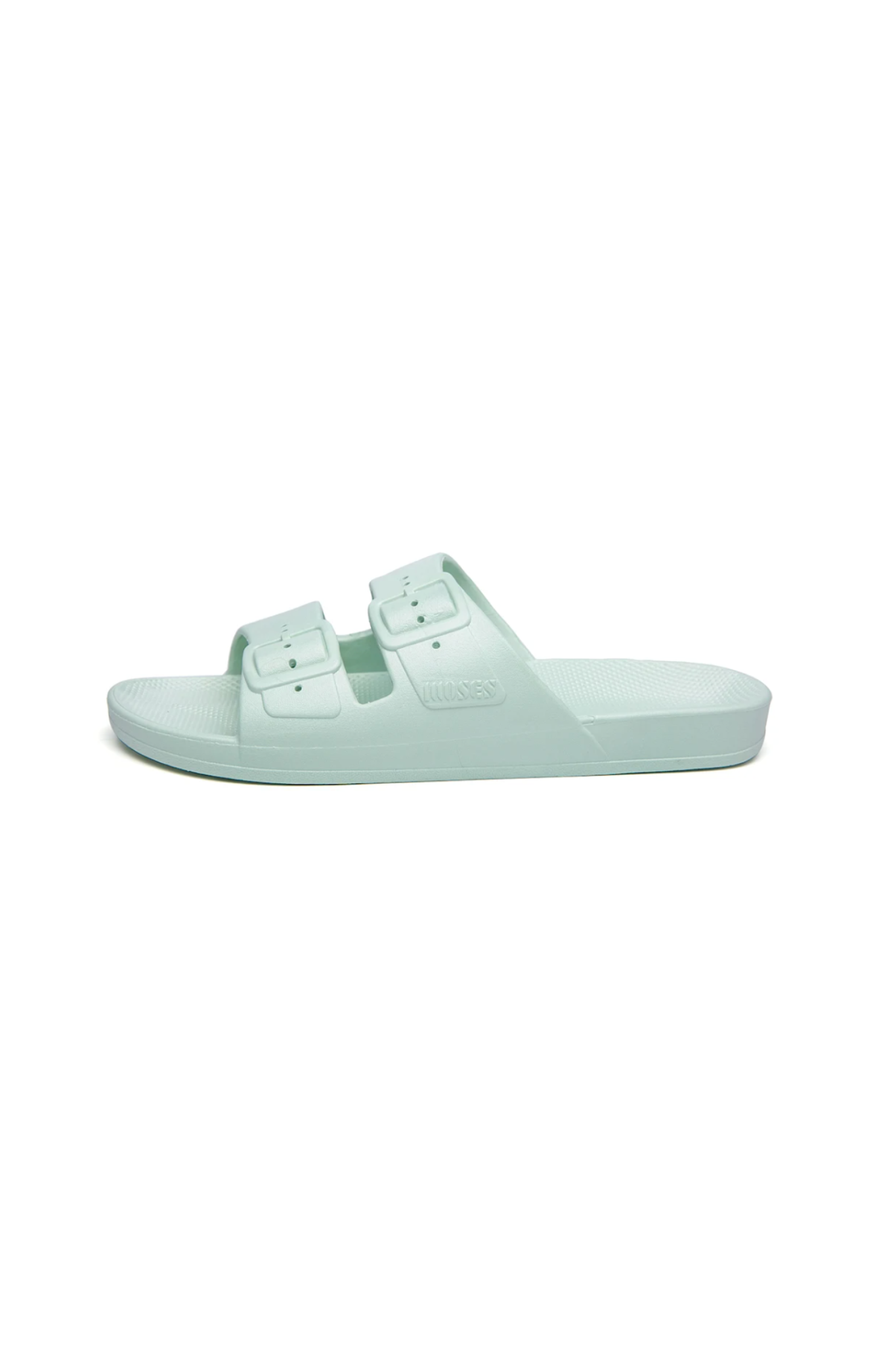 MOSES SLIDES - SAGE