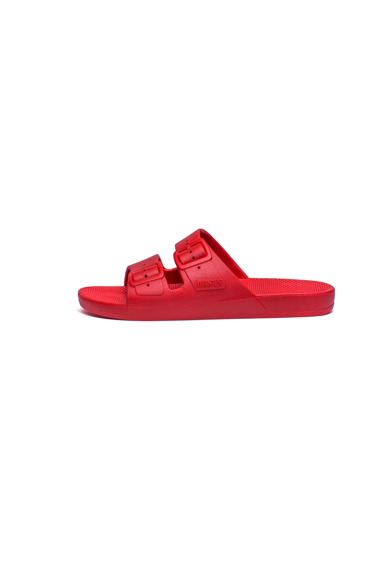 MOSES SLIDES - FUJI