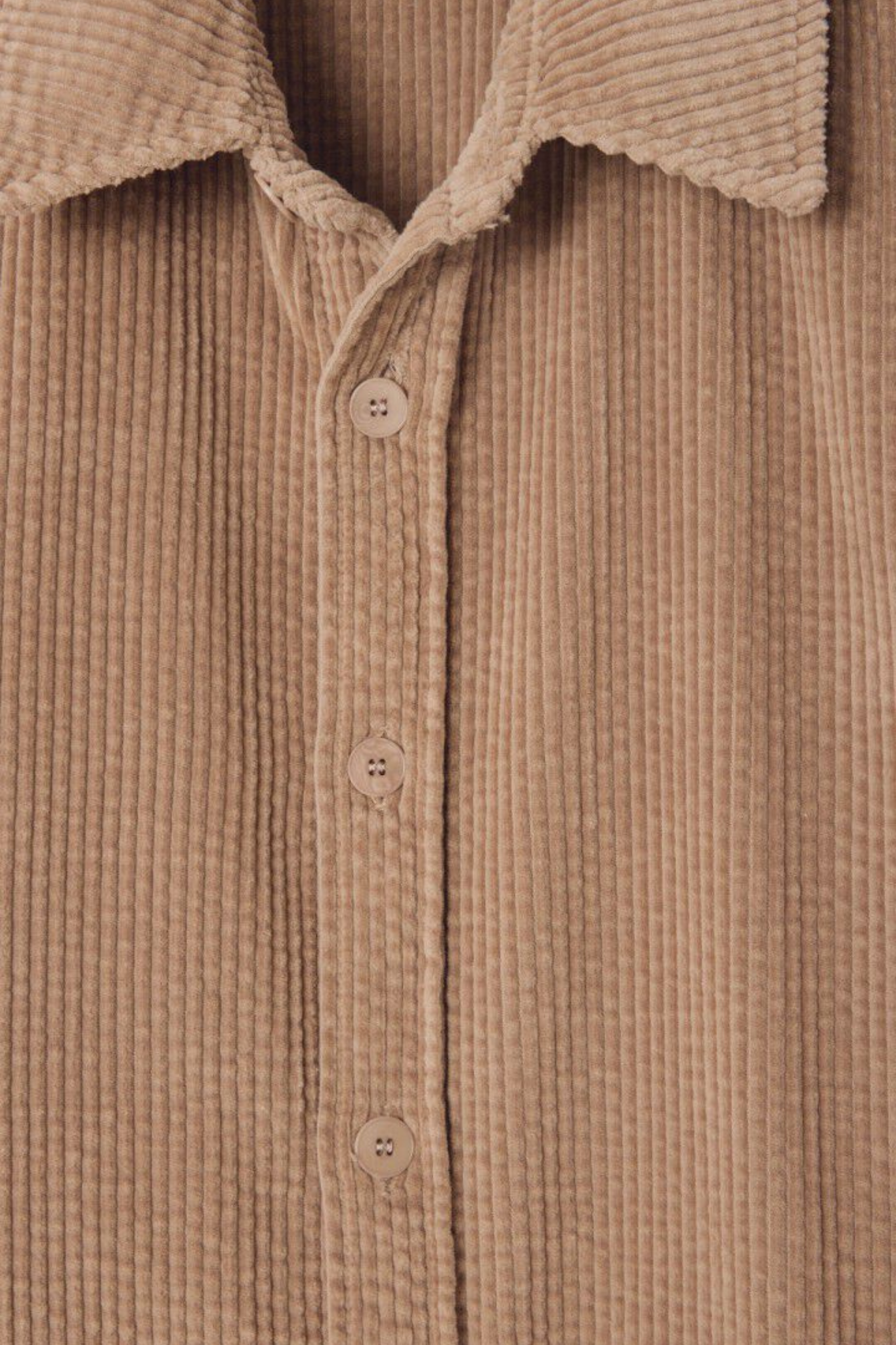 American Vintage padow shirt in vintage teddy bear. Close front view