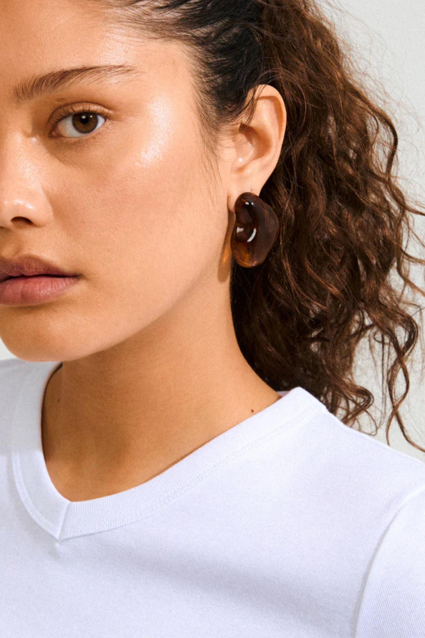 LIAN EARRINGS - GOLD/BROWN