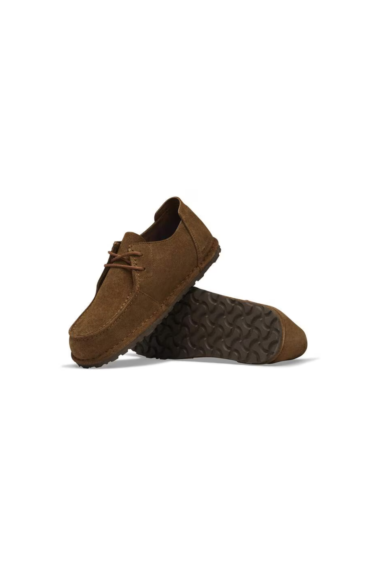 UTTI LACE MEN SHOES - CARAFE