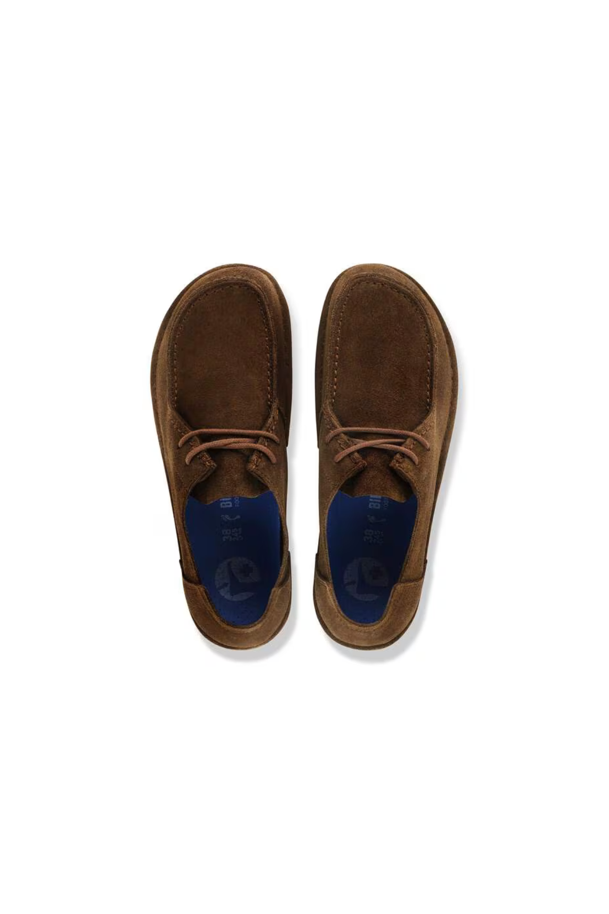 UTTI LACE MEN SHOES - CARAFE