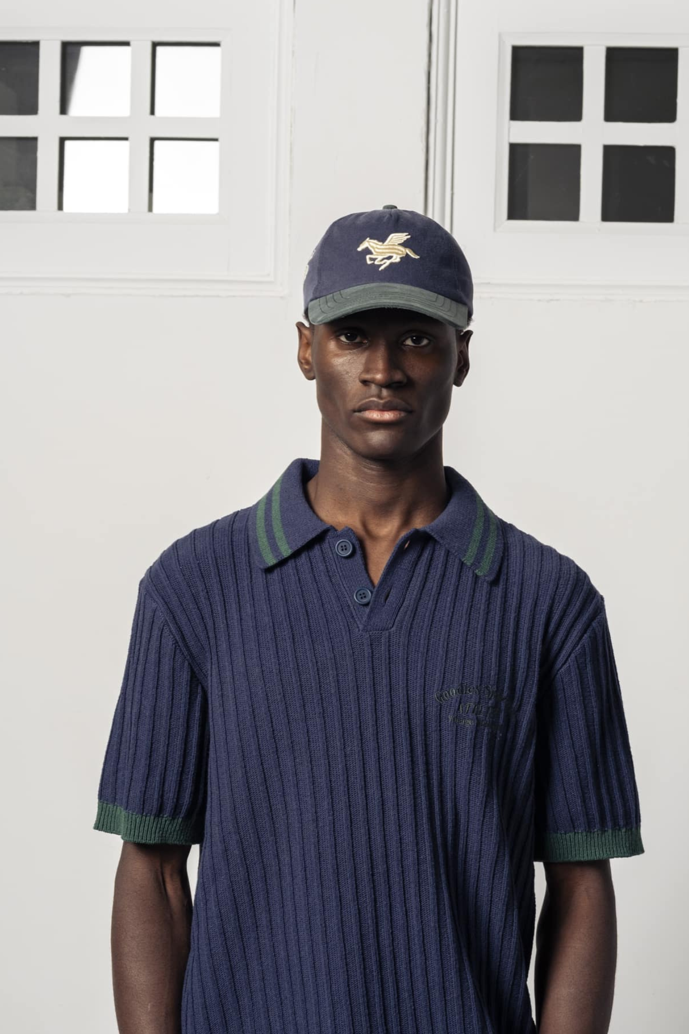 3D PEAGASUS WASHED CAP - GREEN/BLUE