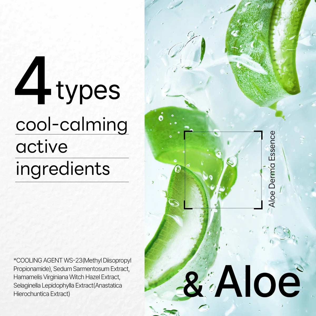 DERMAPLUS ALOE MASK 22ML ( 1 PIECE )