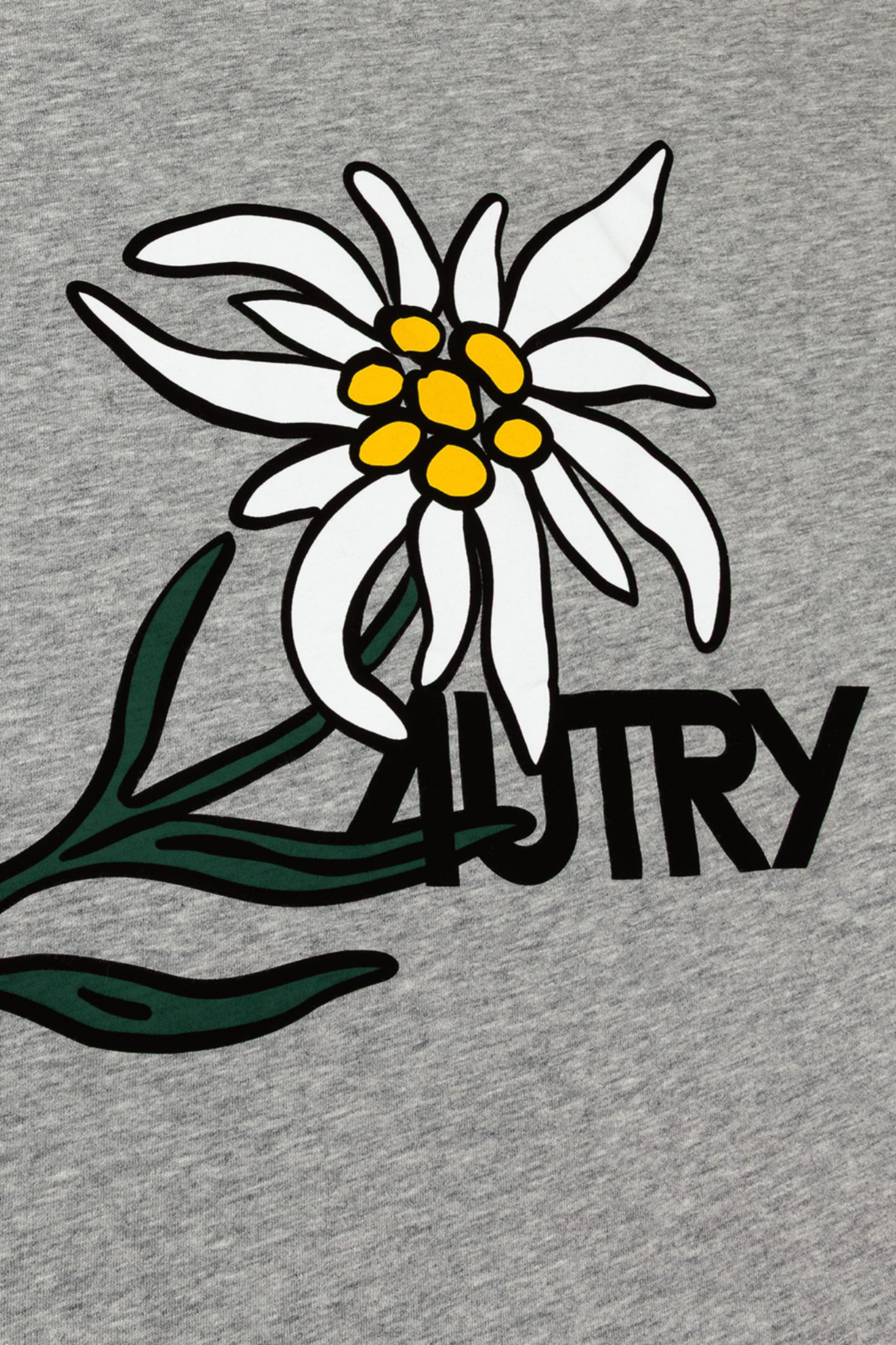EDELWEISS BACK GRAPHIC T-SHIRT - COTTON DK MEL