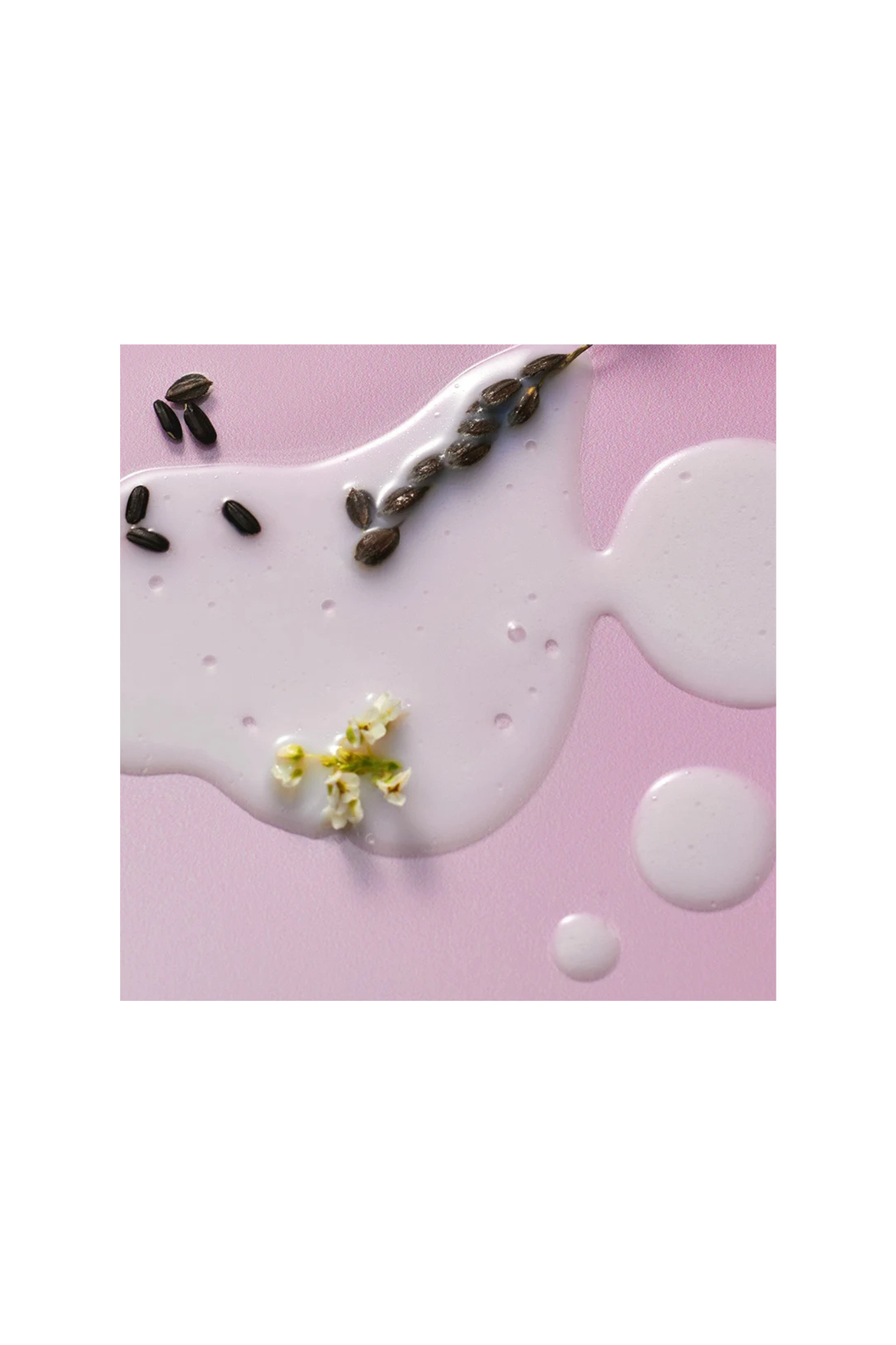 BLACK RICE PROBIOTICS BARRIER NAD + SERUM MIST 80ML