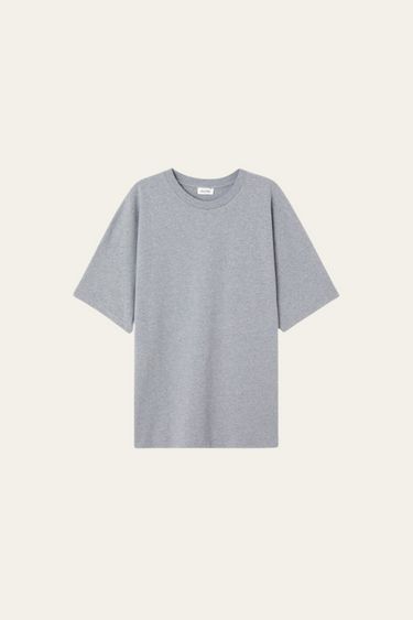 FIZVALLEY T-SHIRT - GREY