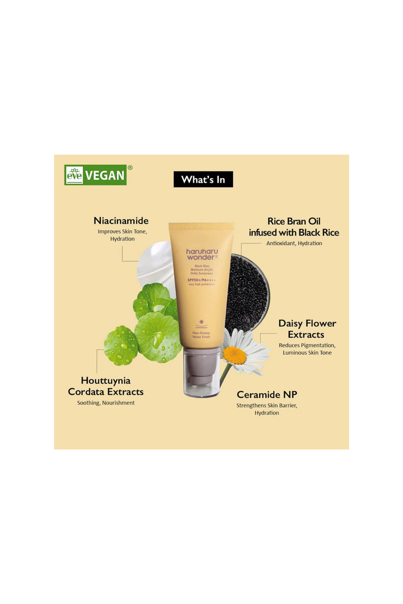 BLACK RICE MOISTURE AIRYFIT DAILY SUNSCREEN 50ML