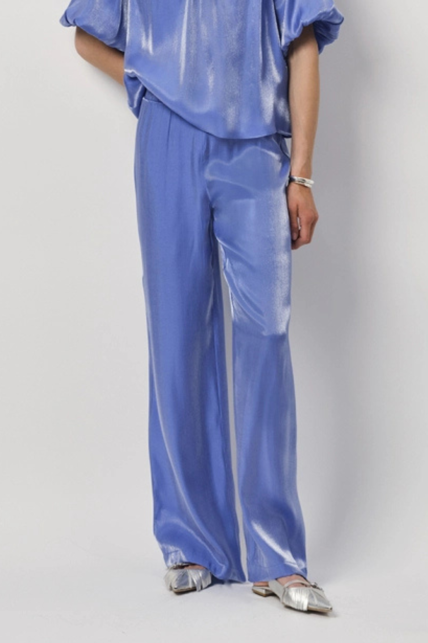 Model wearing the Dante6 soir shimmer wide leg pants in blue. Front view