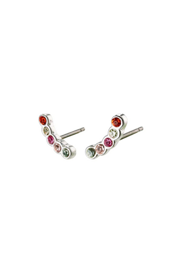 ANITA EARRINGS - SILVER PLATED MULTI