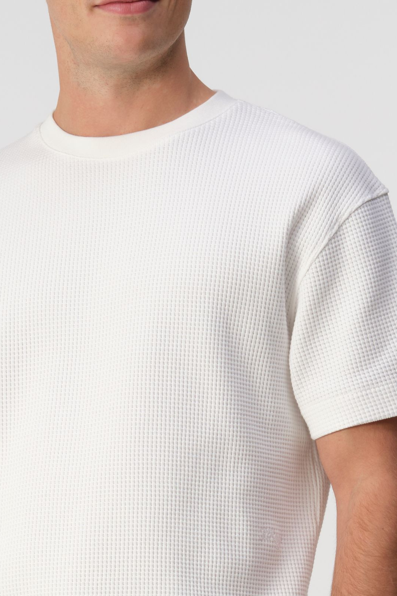 DAXTON T-SHIRT - COCONUT MILK