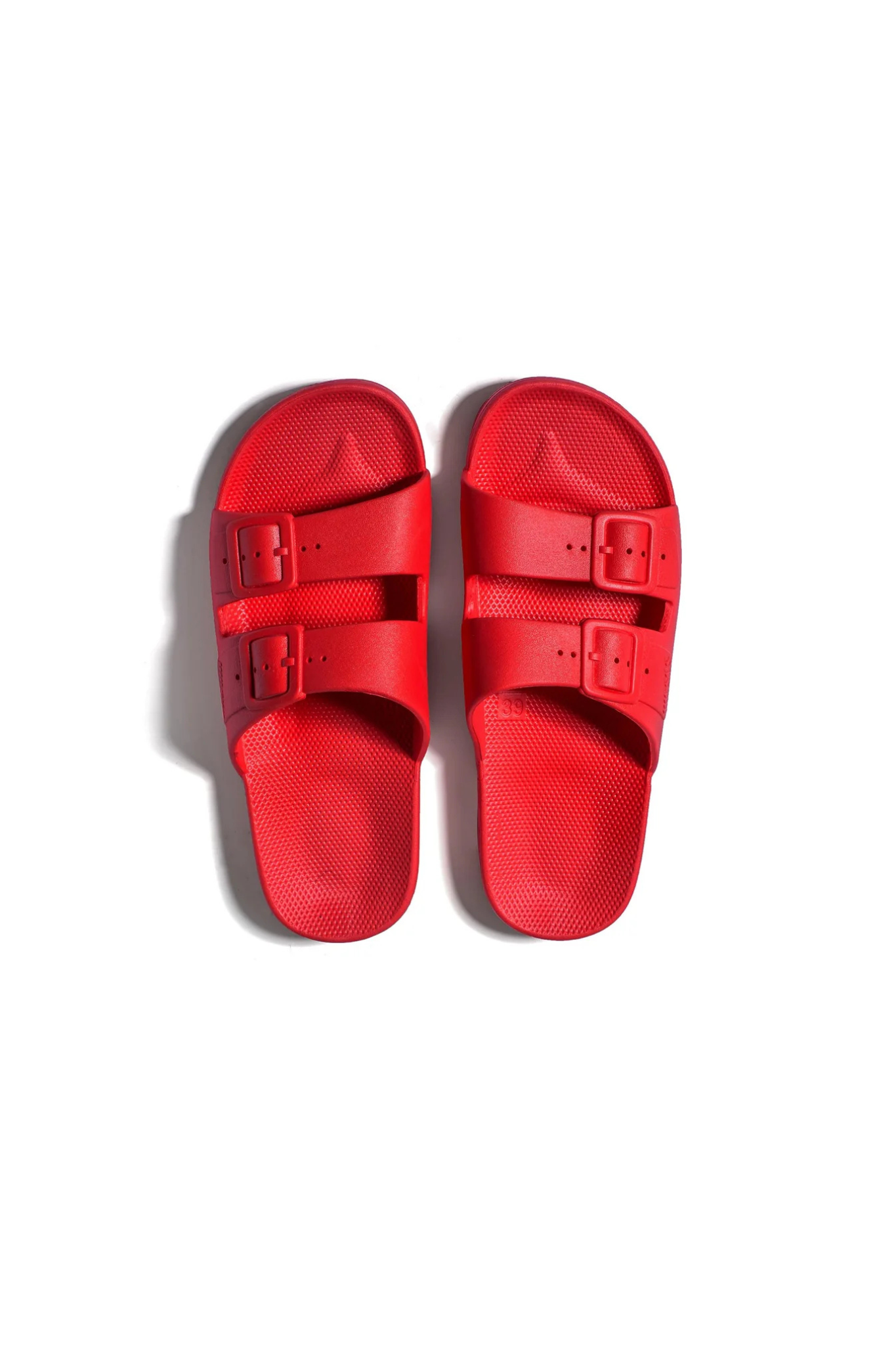 MOSES SLIDES - FUJI