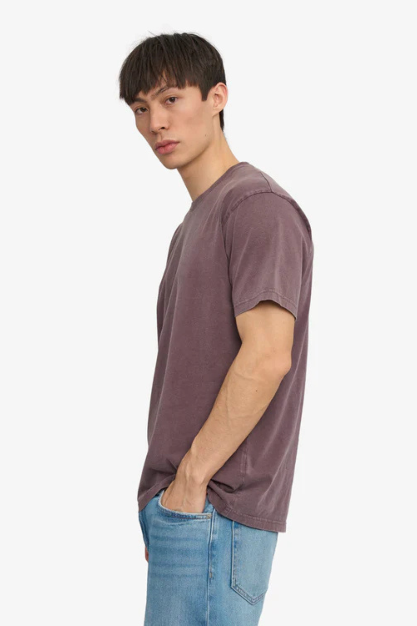 CLASSIC ORGANIC T-SHIRT - FADED GRAPE