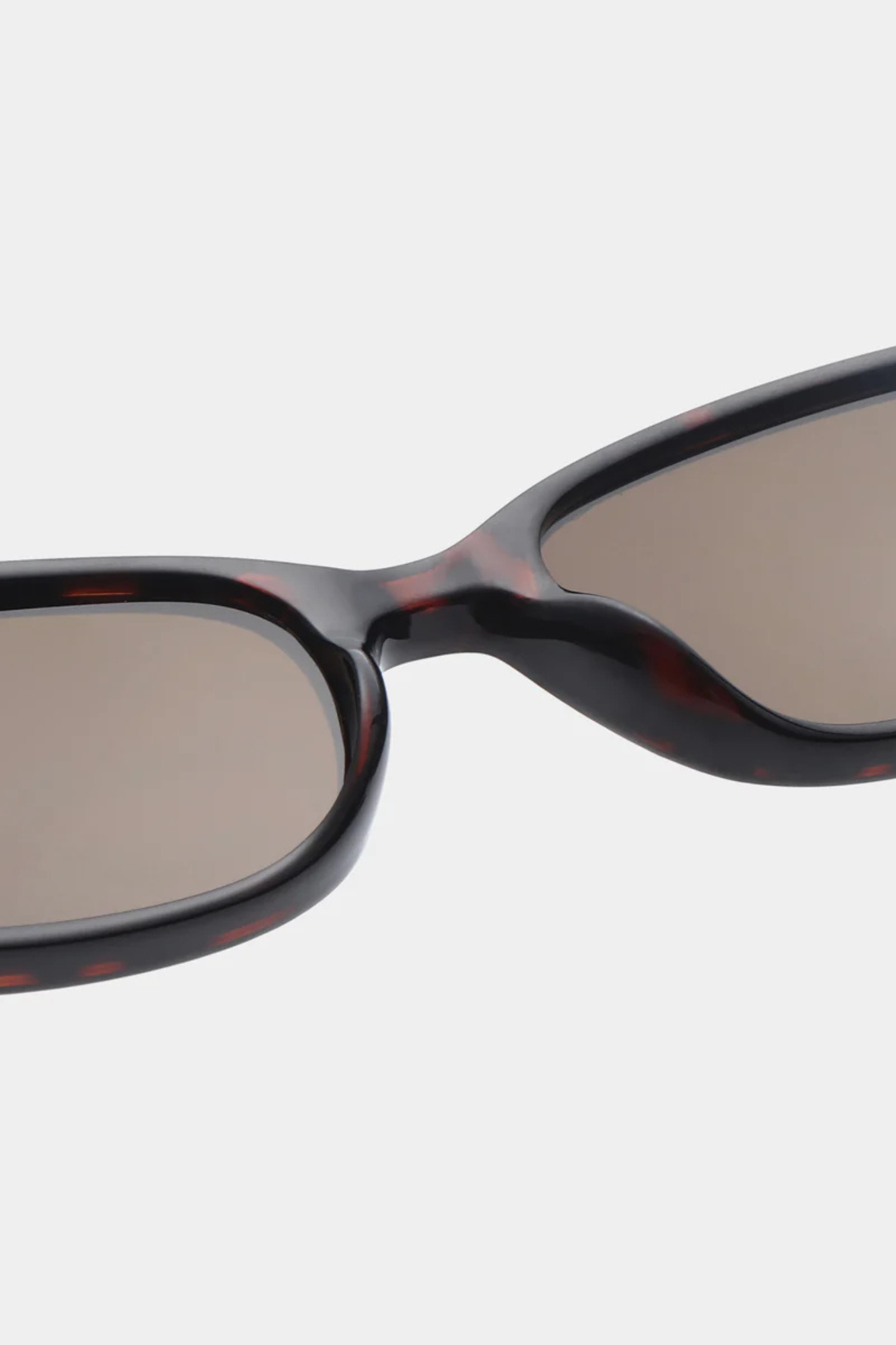 A. Kjaerbede macy sunglasses in demi tortoise. Close front view