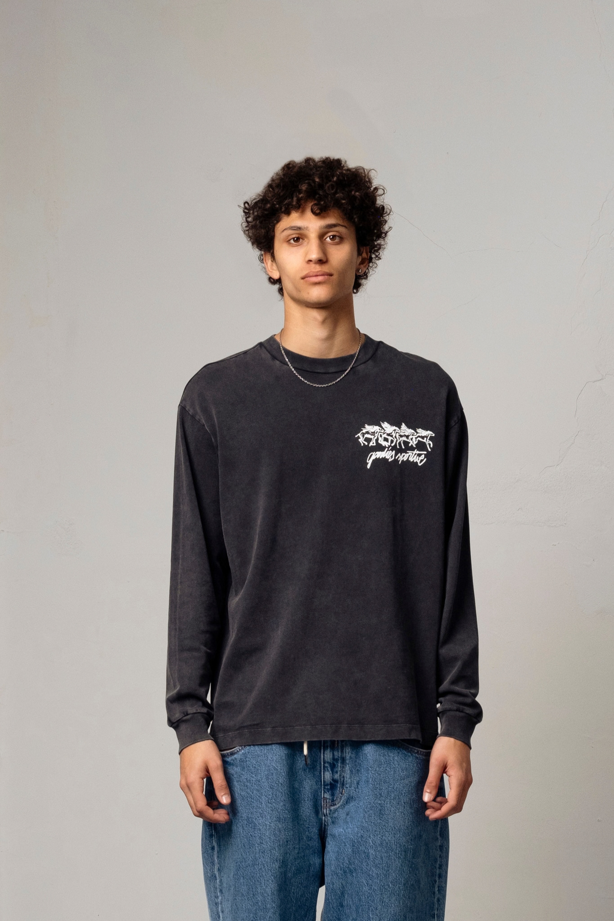 LES CHEVAUX SAUVAGES LONG SLEEVE - GREY FADEOUT