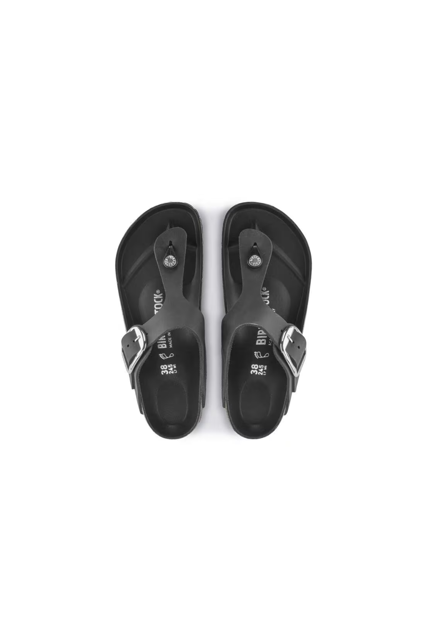 GIZEH BIG BUCKLE WOMEN SANDALS - BLACK