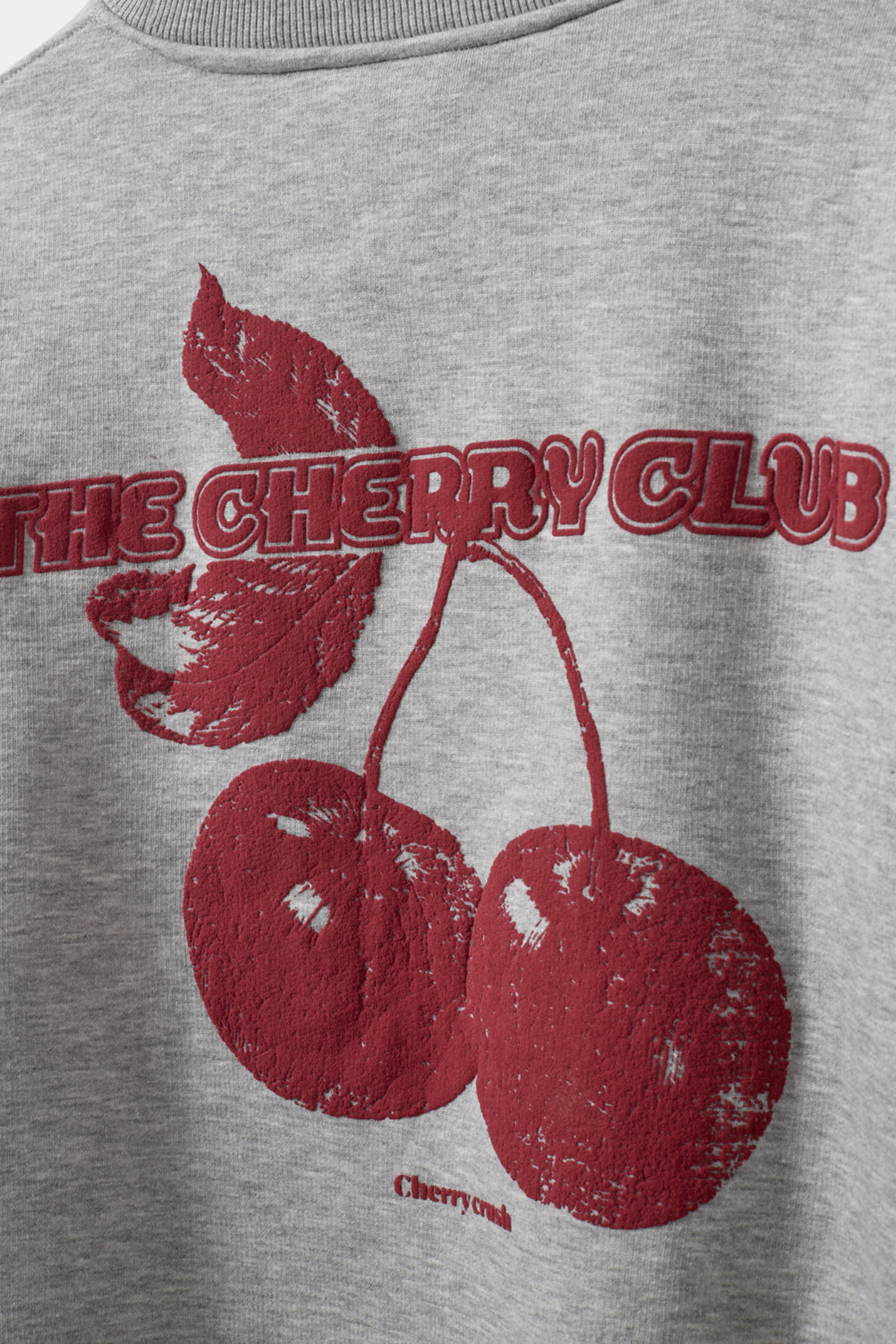 Sofie Schnoor elis sweatshirt in grey melange and cherry graphic in red. Back graphic view