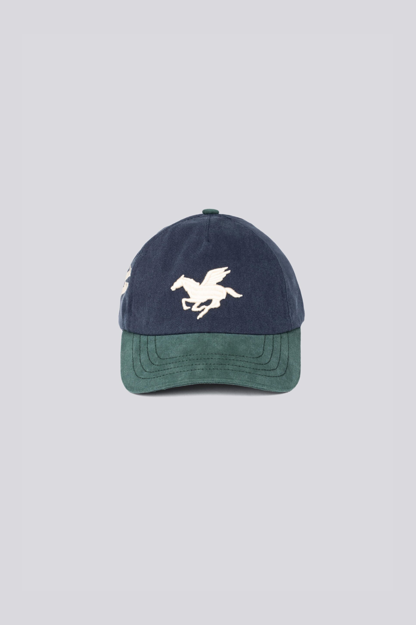 3D PEAGASUS WASHED CAP - GREEN/BLUE